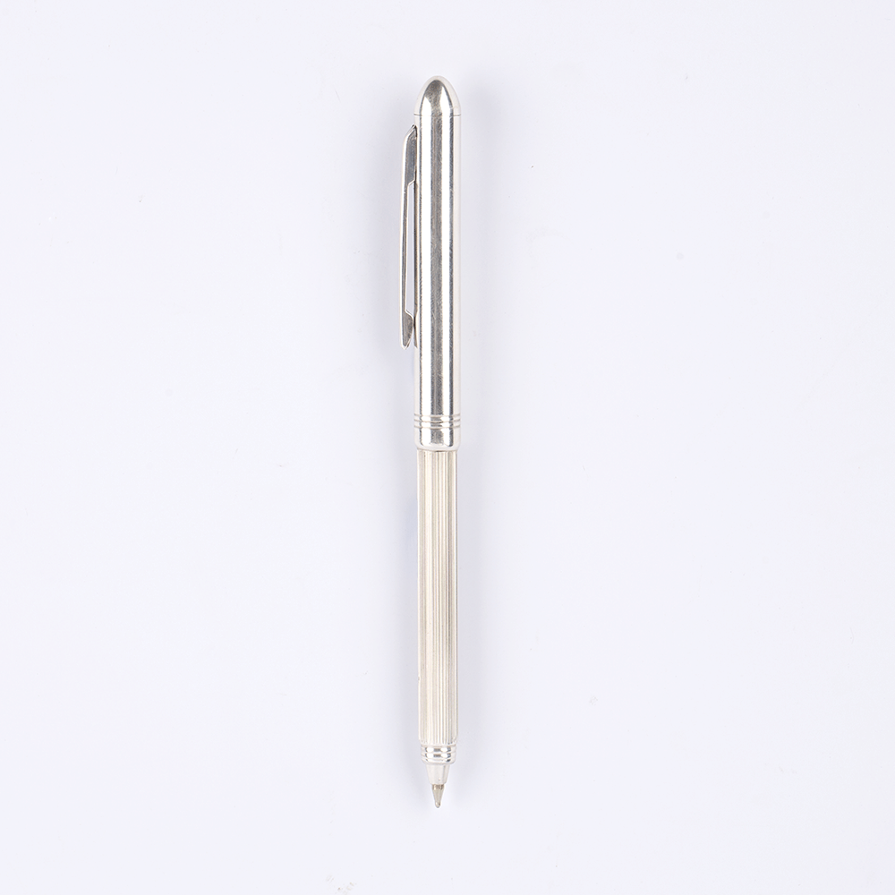 Silver Flip Pen