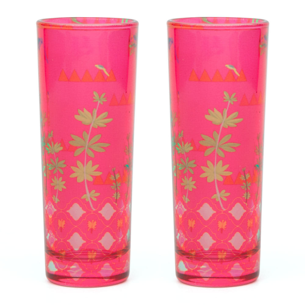 Geometric Paradise Shot Glasses (Set of 2)