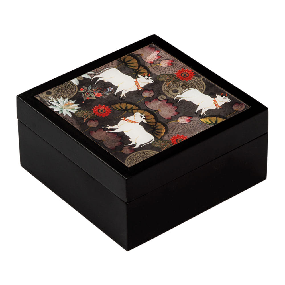 Dance of Rasa Medium Storage Box