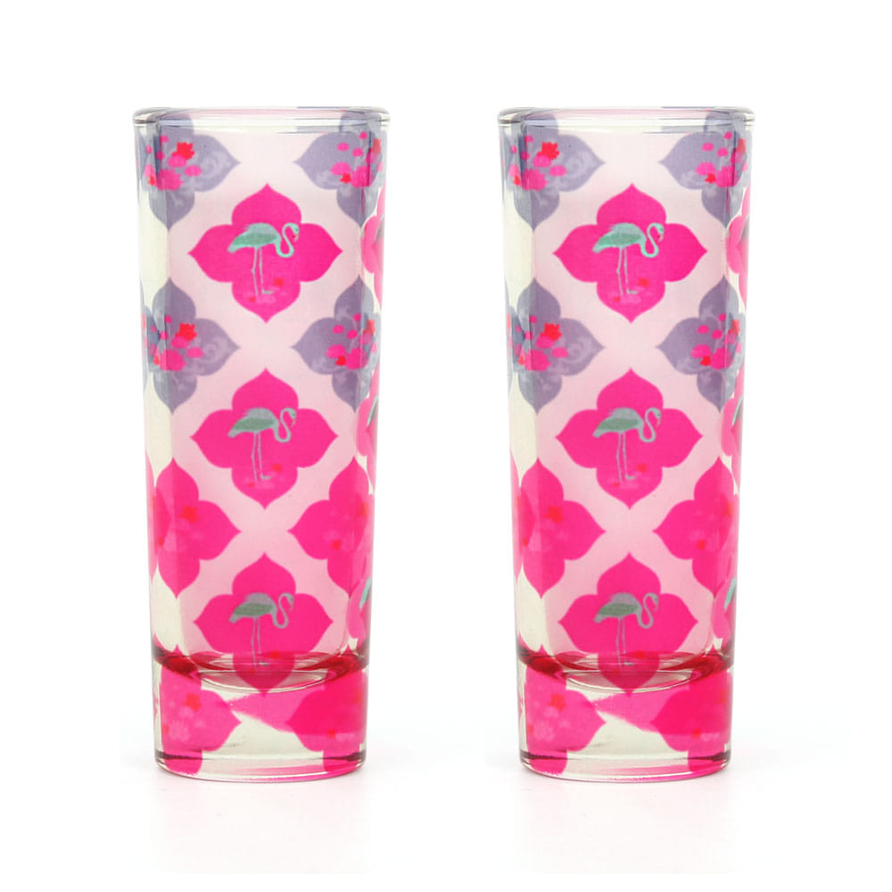 Craving Fuschia Shot Glasses (Set of 2)