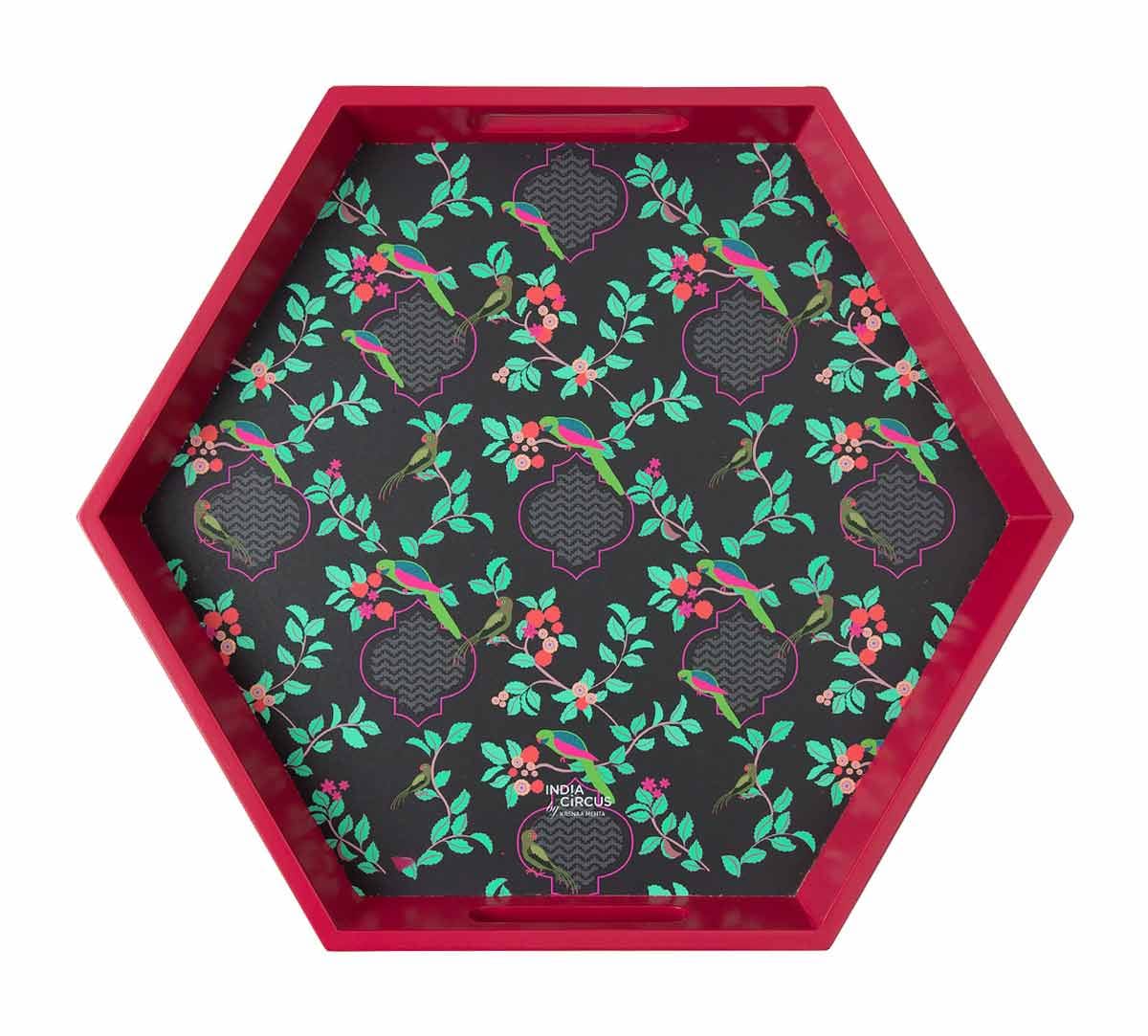 Perches on a Lattice Hexagon Tray