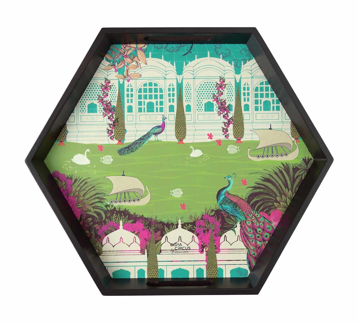 Garden of ascendancy Hexagon Tray