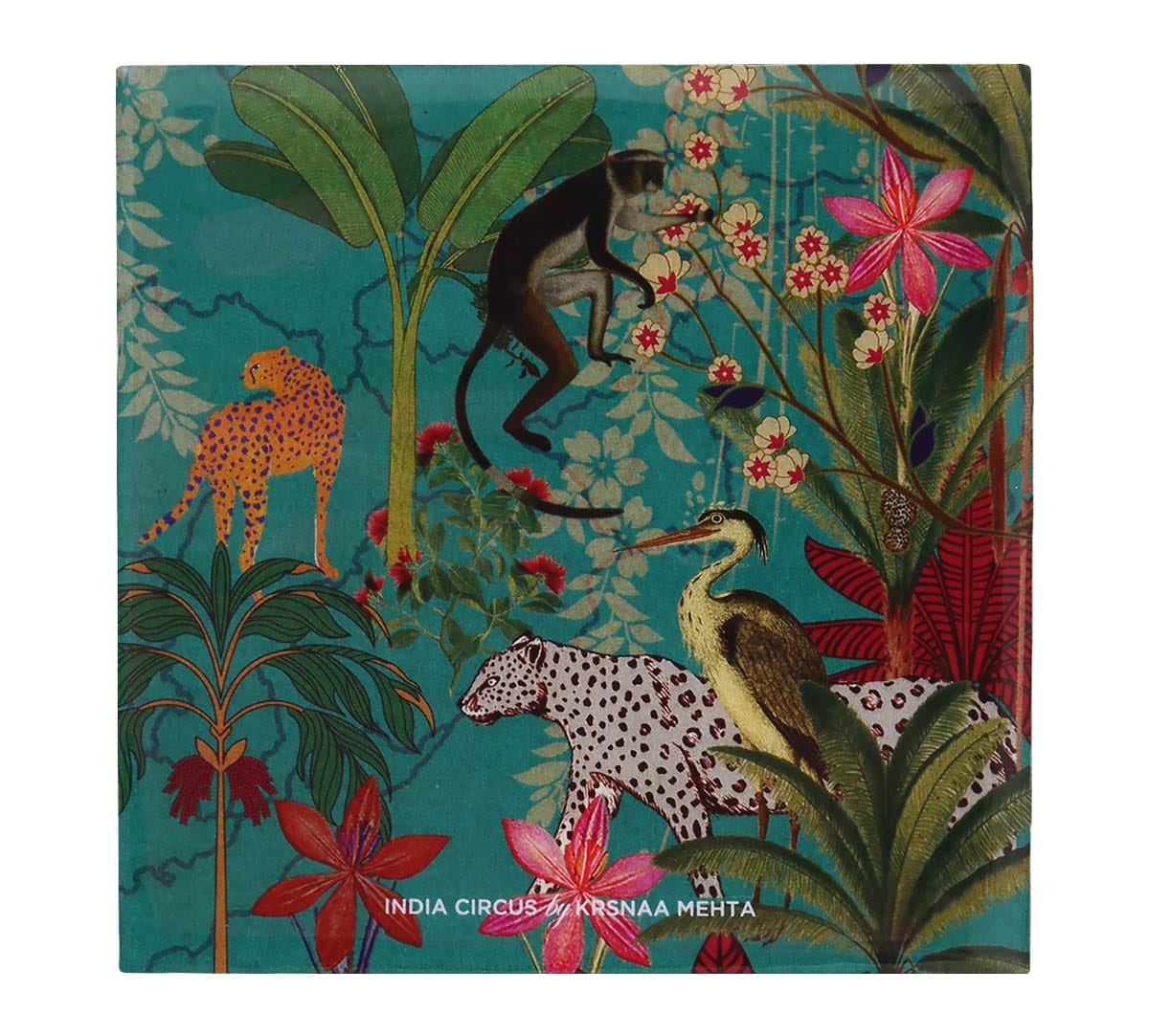 Animal Kingdom MDF Table Coaster Set of 6