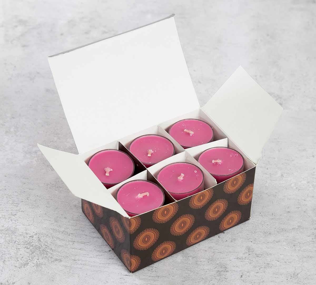 Apple Cinnamon Scented Tea Light candles (Set of 24)