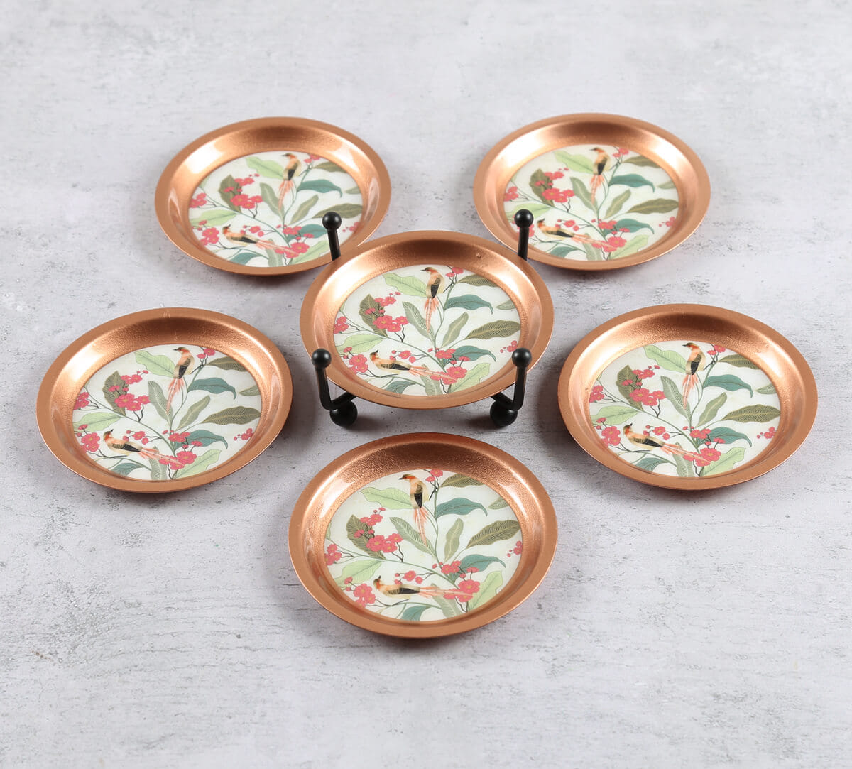 Bird Land Paradise Coaster with Stand Set of 6
