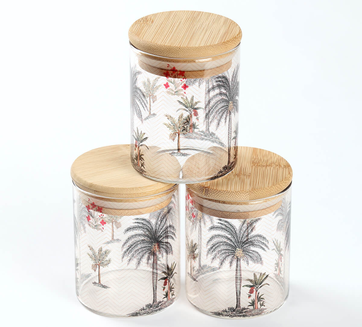 Chevron Palms Glass Jars Set of 3