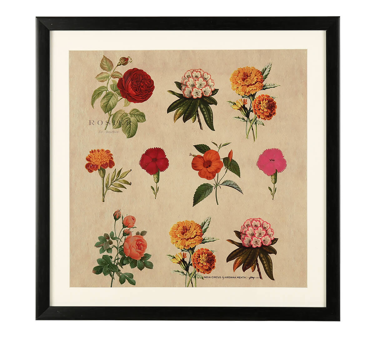 Cosmos and Chaos Framed Wall Art