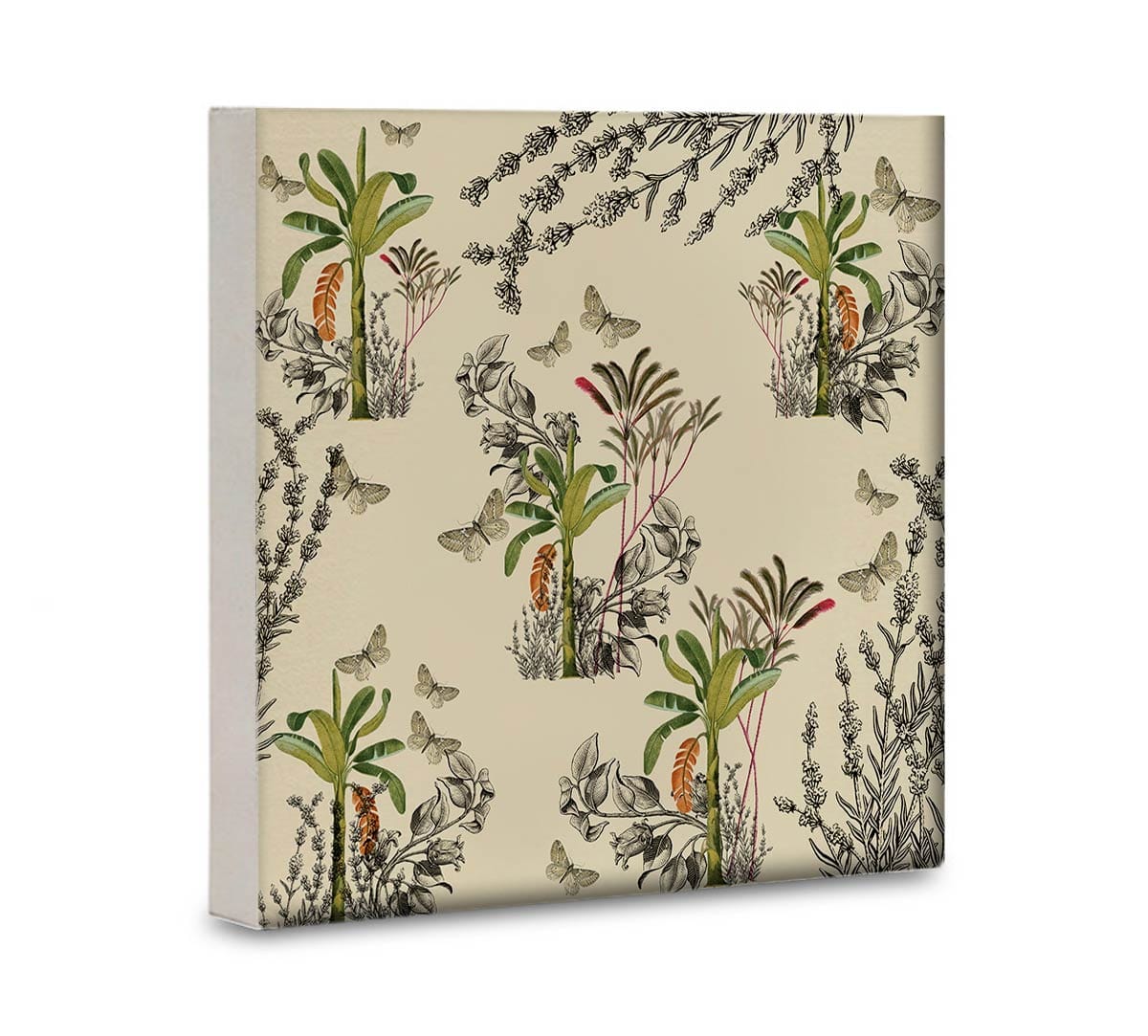 Desert Plants Canvas Wall Art