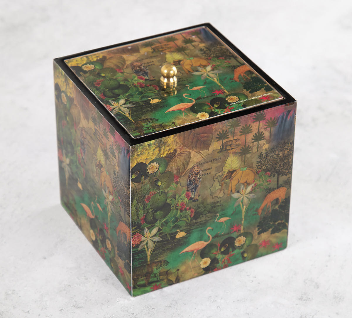 Mapping Animals Square Storage Box