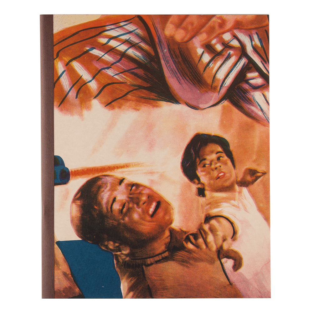 The Bolly Fight Notebook