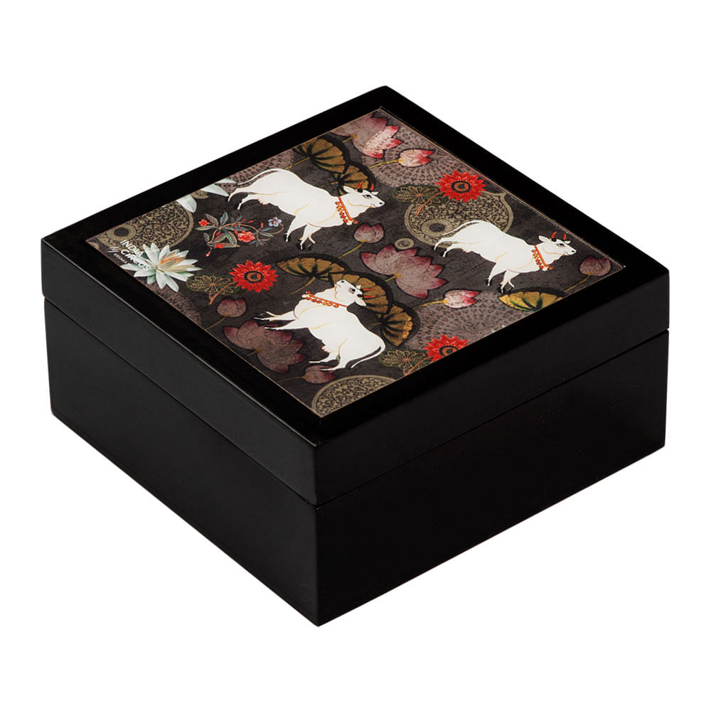 Dance of Rasa Medium Storage Box