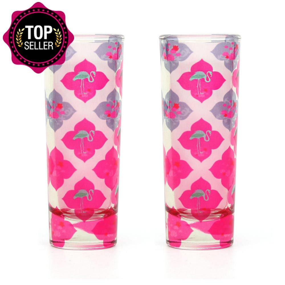 Craving Fuschia Shot Glasses (Set of 2)