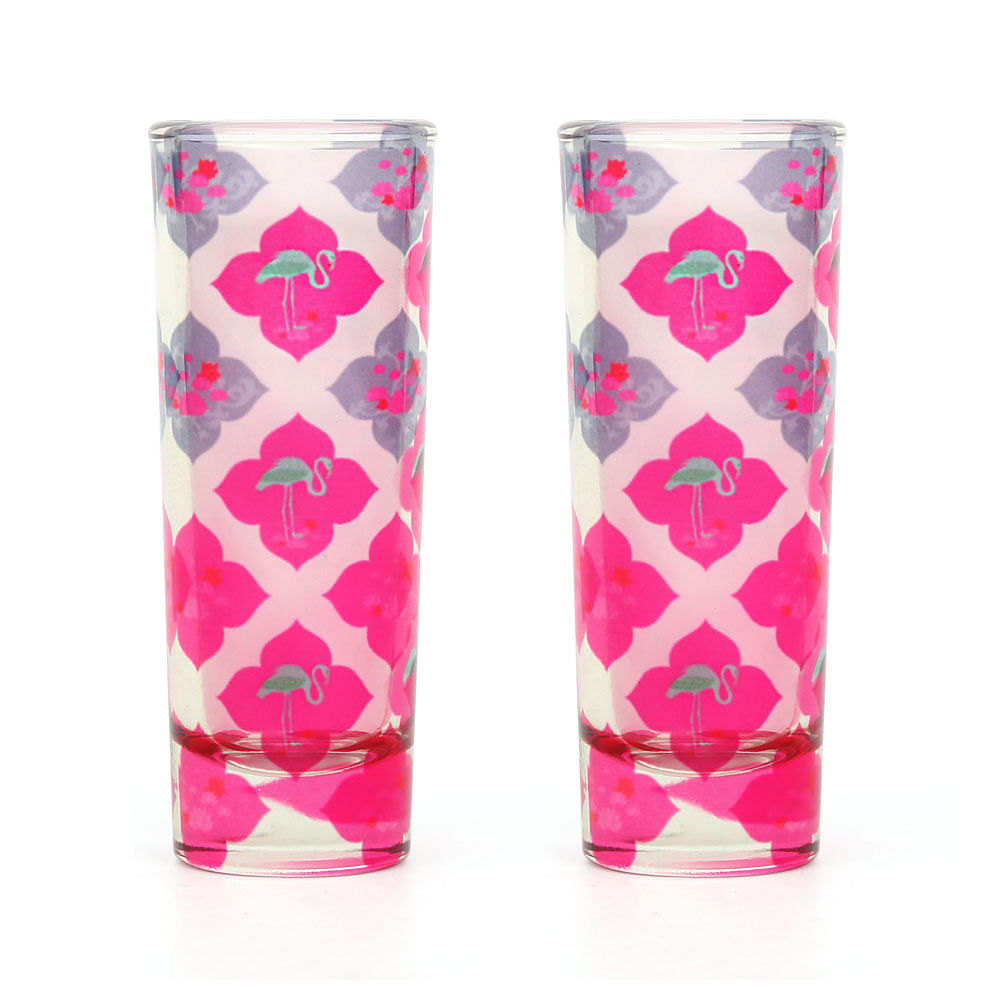 Craving Fuschia Shot Glasses