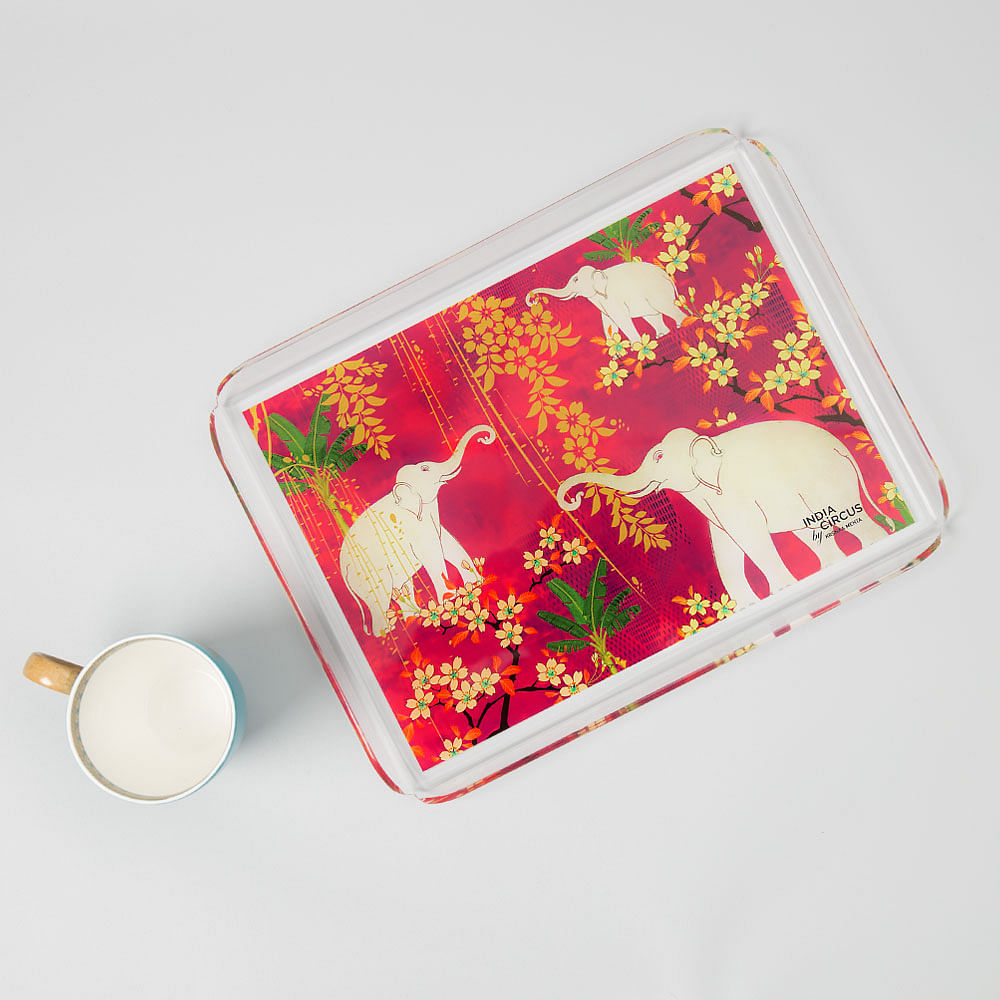 Scarlet Tusk Acrylic Tray