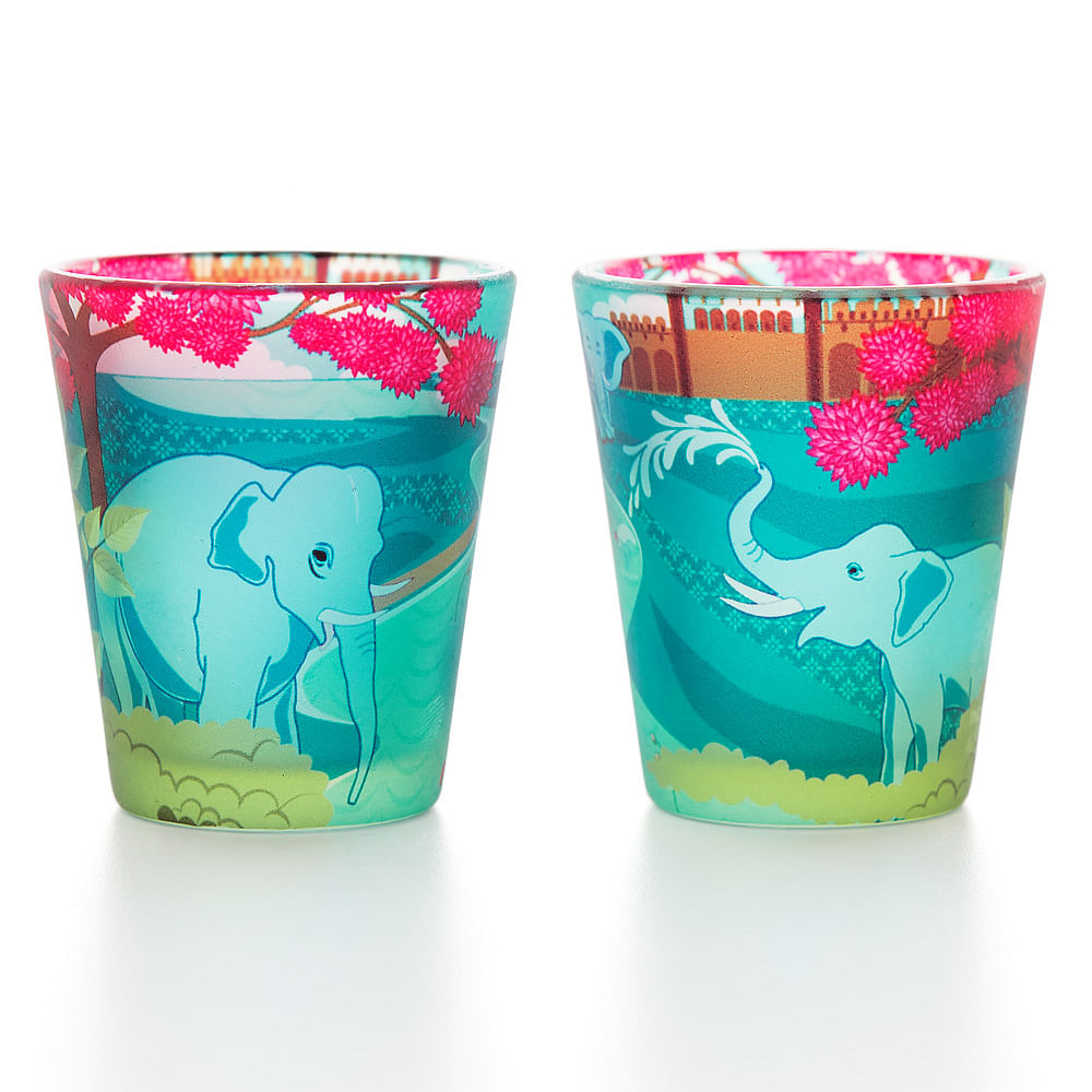 Flourish of Periyar Frosted Shot Glasses (Set of 2)