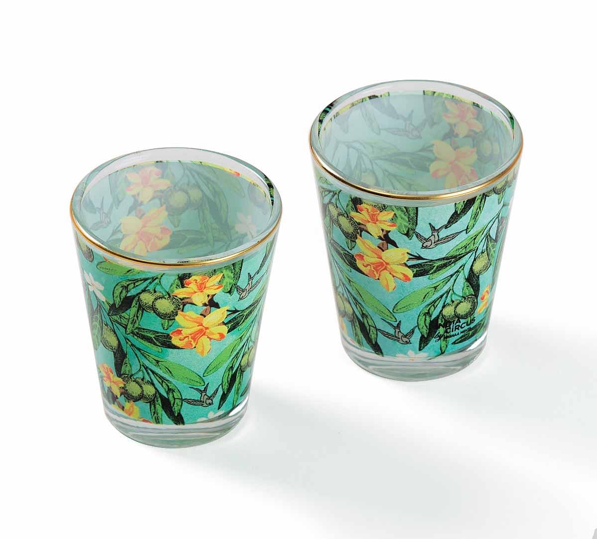 Hummingbird Hemmingway Shot Glass