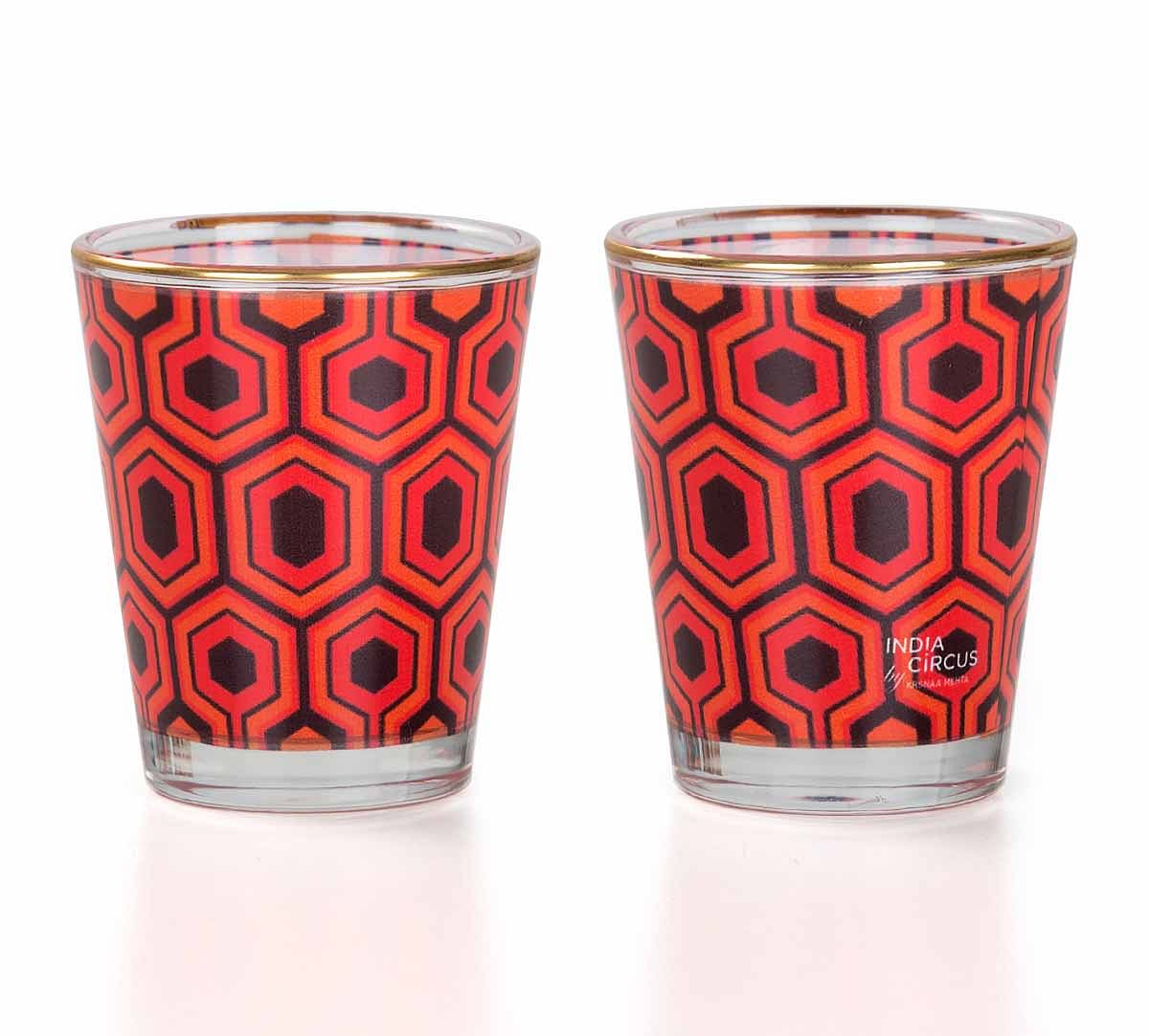 Prismatic Hexagons Shot Glass