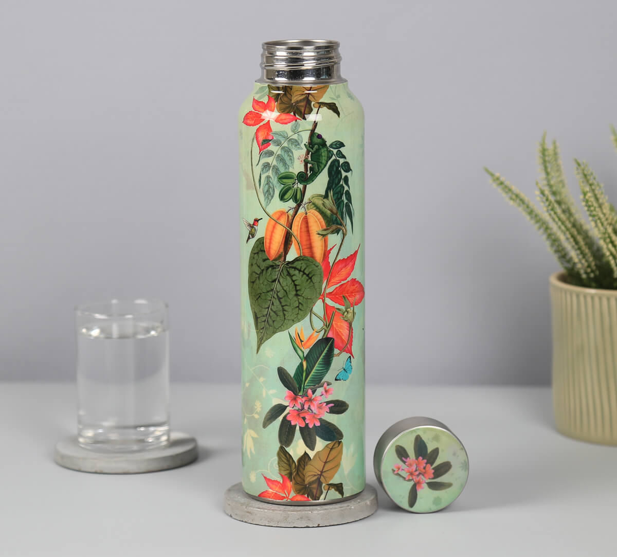 India Circus by Krsnaa Mehta Seedling Monarch Big Steel Bottle