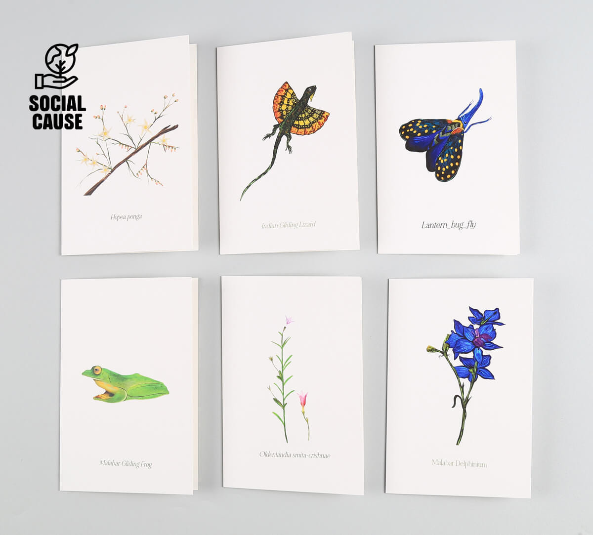 NGCPR Collection - Discovered Drama Note Cards Set of 6