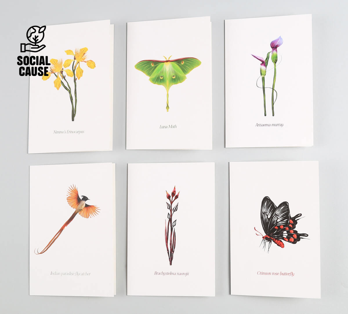 NGCPR Collection - Unusual Blooms Note Cards Set of 6
