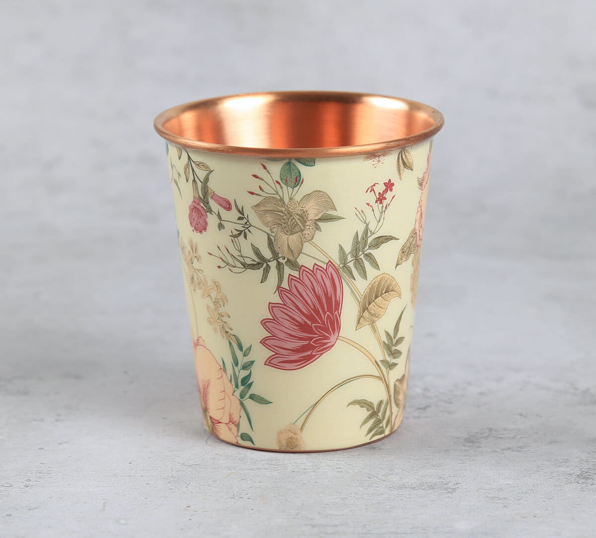 India Circus by Krsnaa Mehta Rustic Realm Copper Tumbler Small