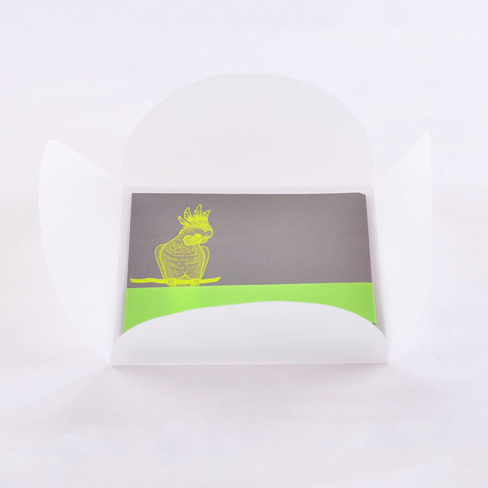 Birds & Bands Gift Cards (Set of 10)
