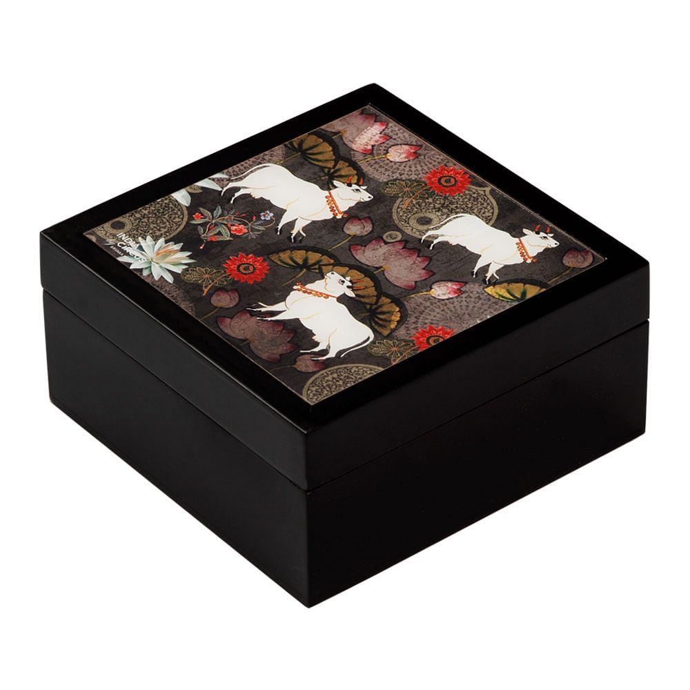 Dance of Rasa Medium Storage Box