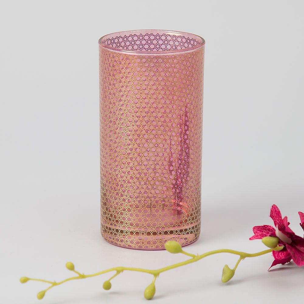 Afternoons of Fuchsia Tumbler