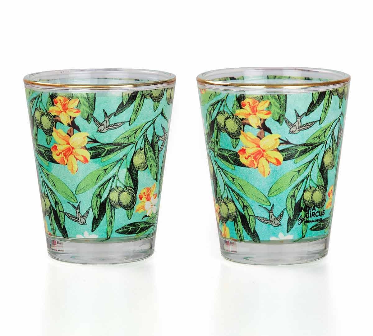 Hummingbird Hemmingway Shot Glass