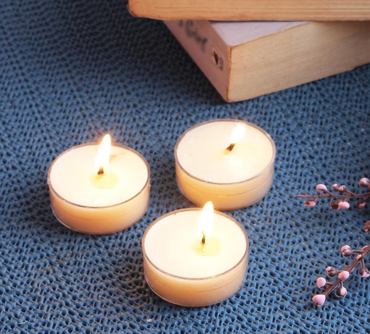India Circus Vanilla Bean Tea Light candles (Set of 24)