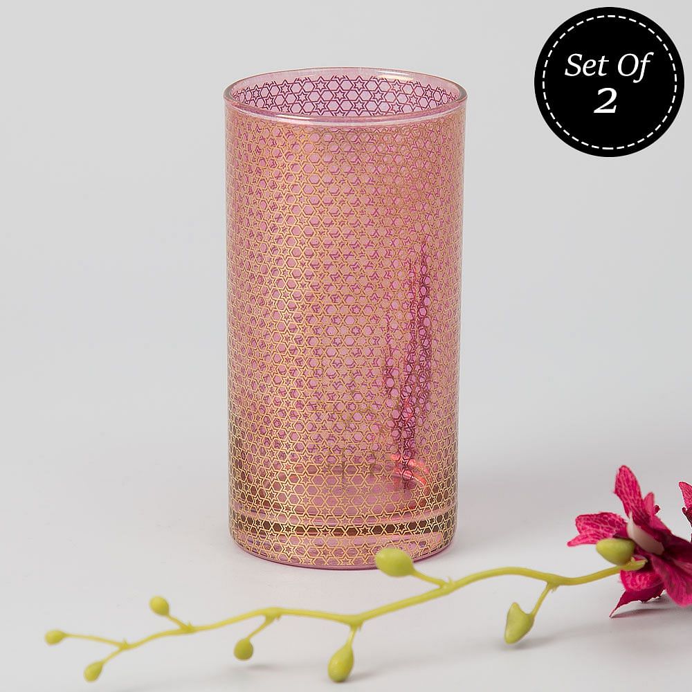 Afternoons of Fuchsia Tumbler (Set of 2)