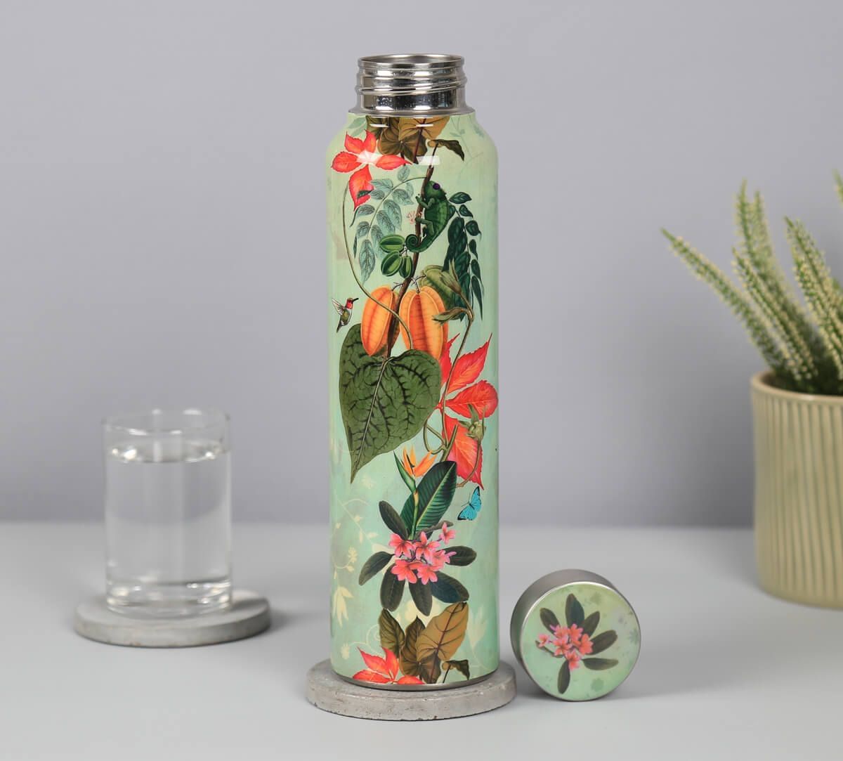 India Circus by Krsnaa Mehta Seedling Monarch Big Steel Bottle