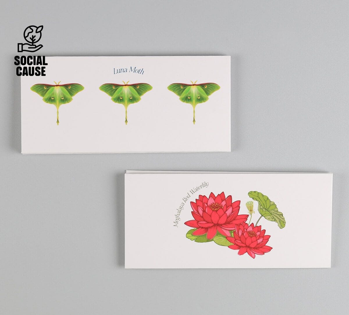 NGCPR Collection - Moths and Lily Money Envelope Set of 6