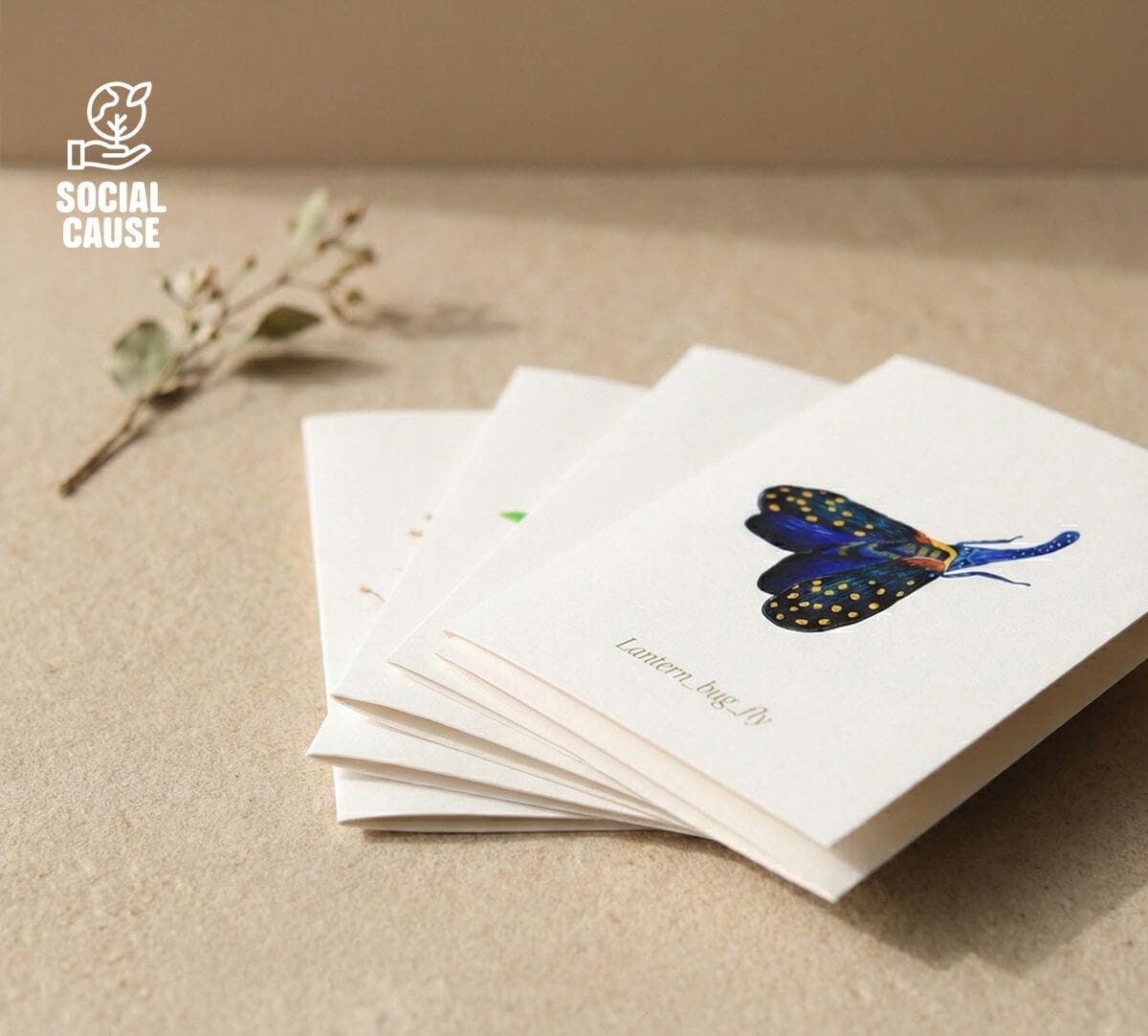 NGCPR Collection - Discovered Drama Note Cards Set of 6