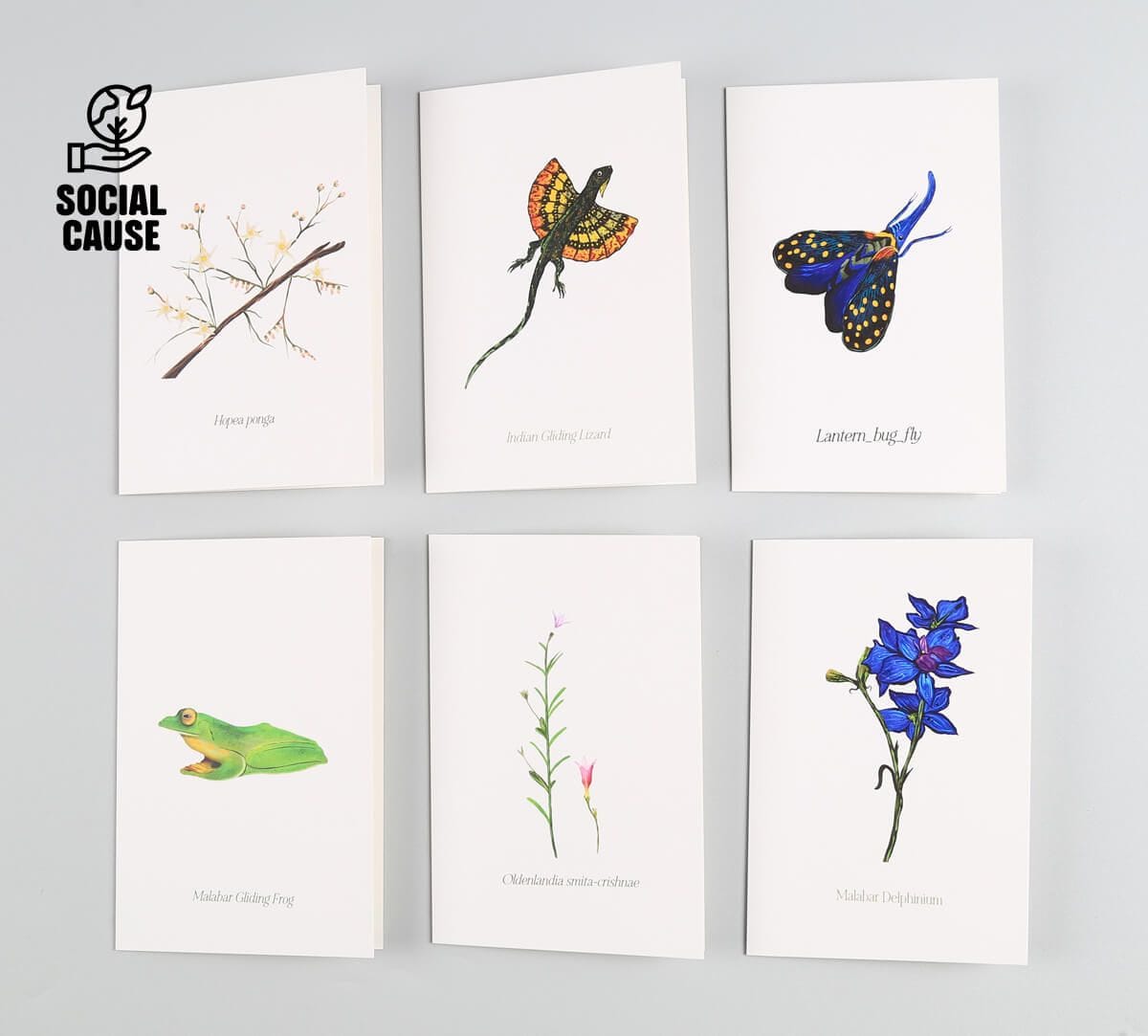 NGCPR Collection - Discovered Drama Note Cards Set of 6