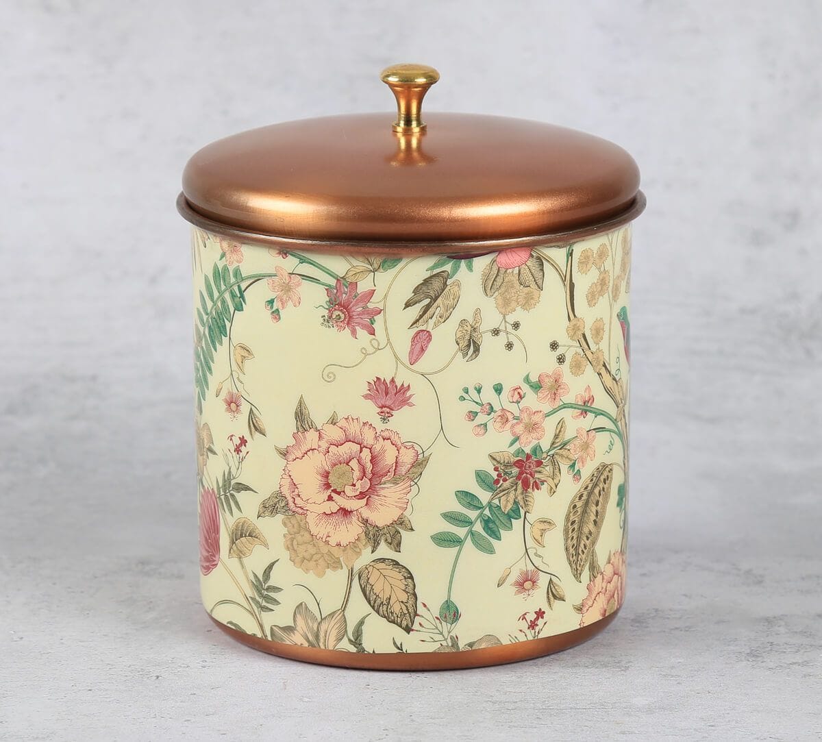 India Circus by Krsnaa Mehta Rustic Realm Steel Cookie Jar