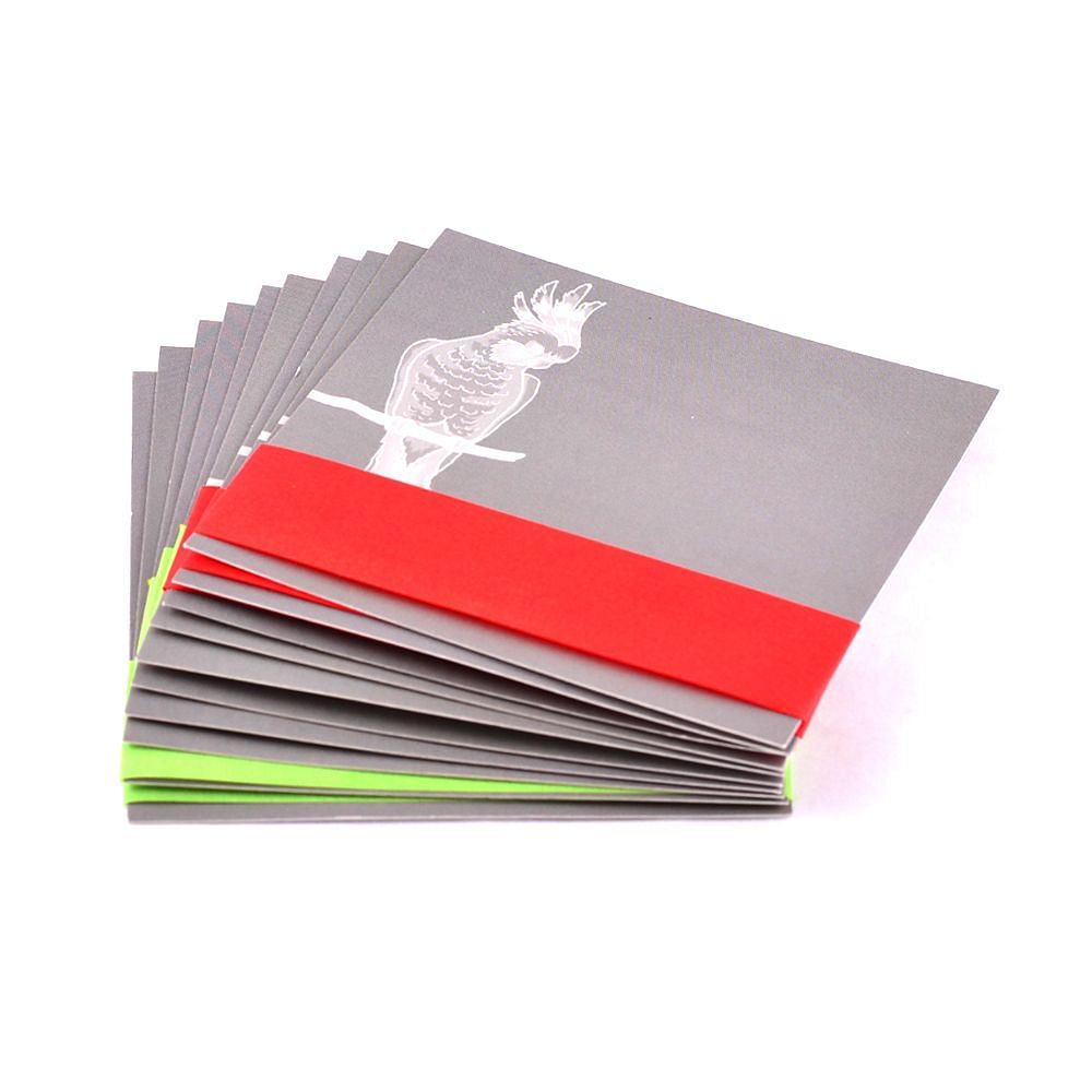 Birds & Bands Gift Cards (Set of 10)