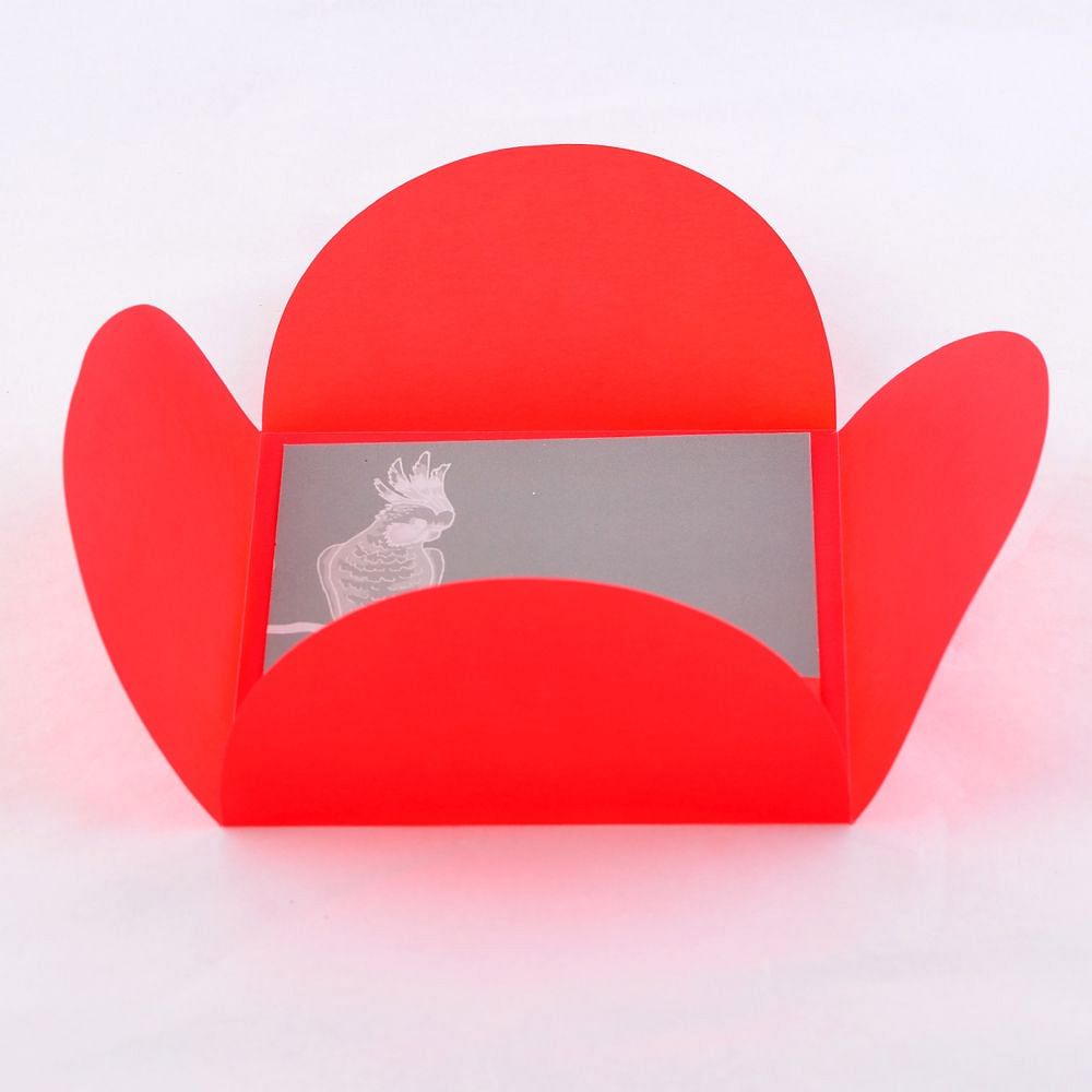 Birds & Bands Gift Cards (Set of 10)