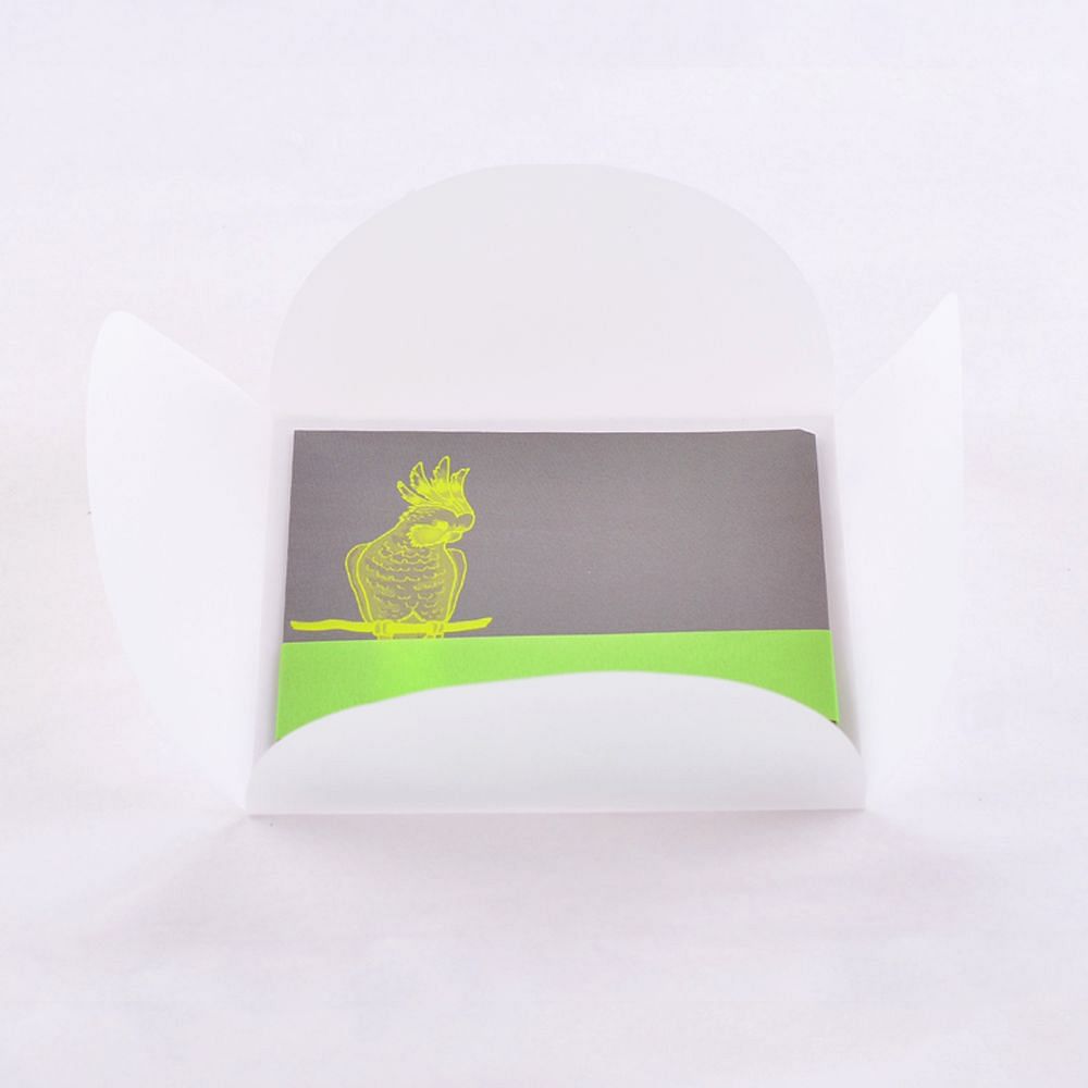 Birds & Bands Gift Cards (Set of 10)