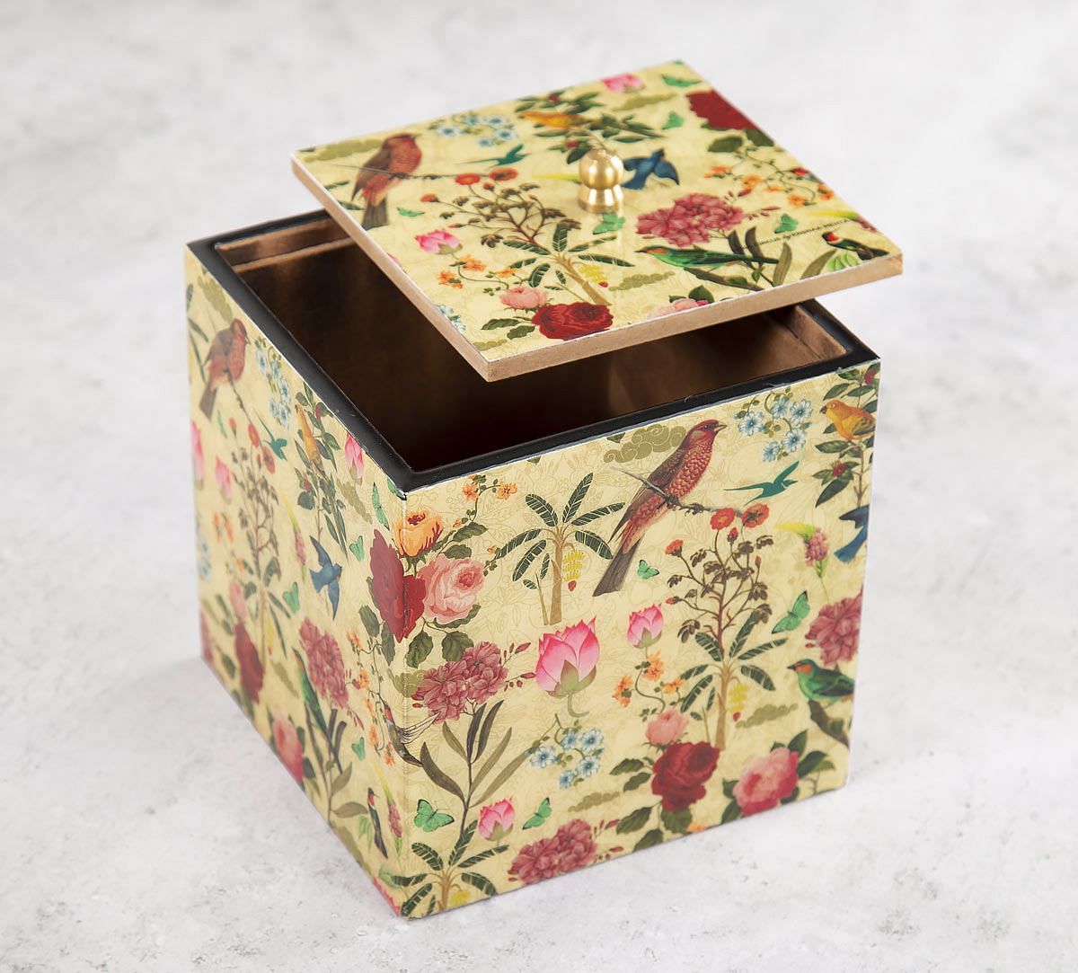 India Circus Bird Land Square Storage Box
