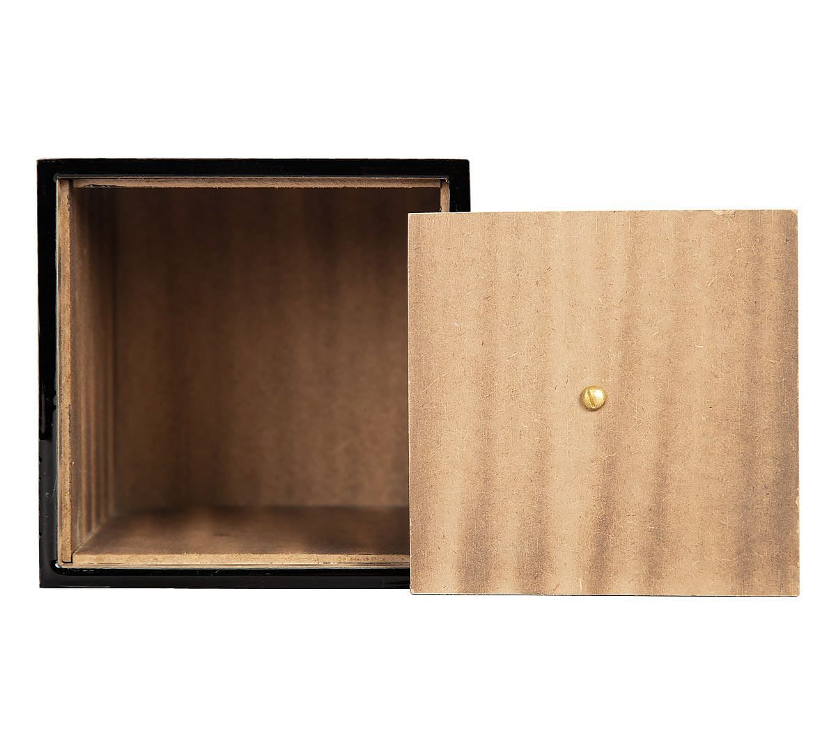 India Circus Bird Land Square Storage Box