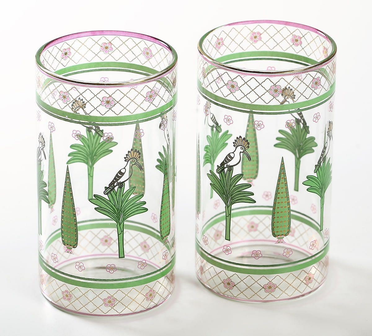 India Circus by Krsnaa Mehta Biome Patio Tumbler set of 2