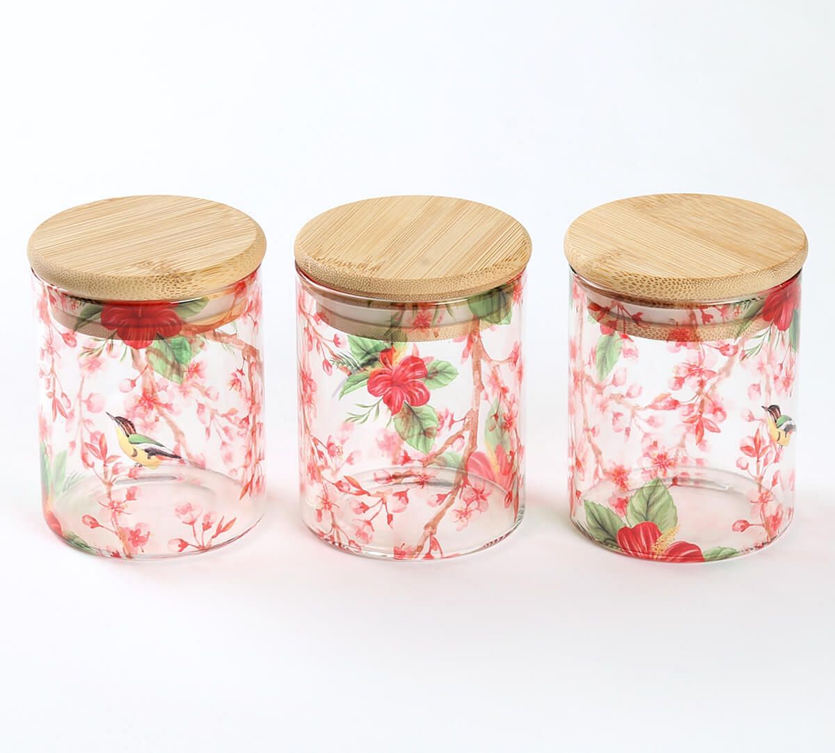 India Circus by Krsnaa Mehta Perching Floral Paradise Glass Jars Set of 3