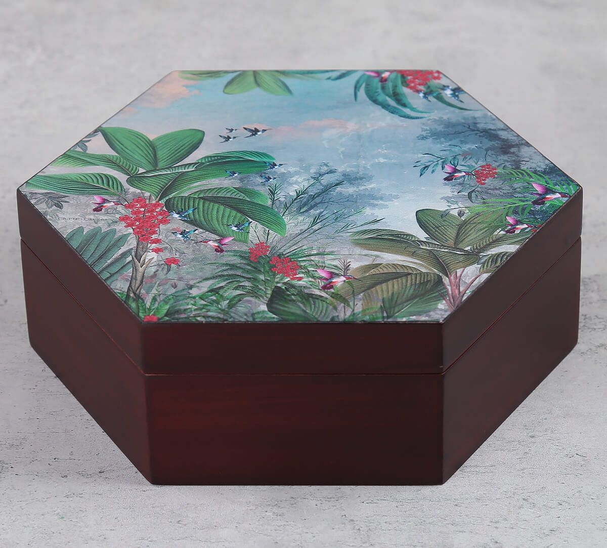 India Circus by Krsnaa Mehta Tropical View Storage Box