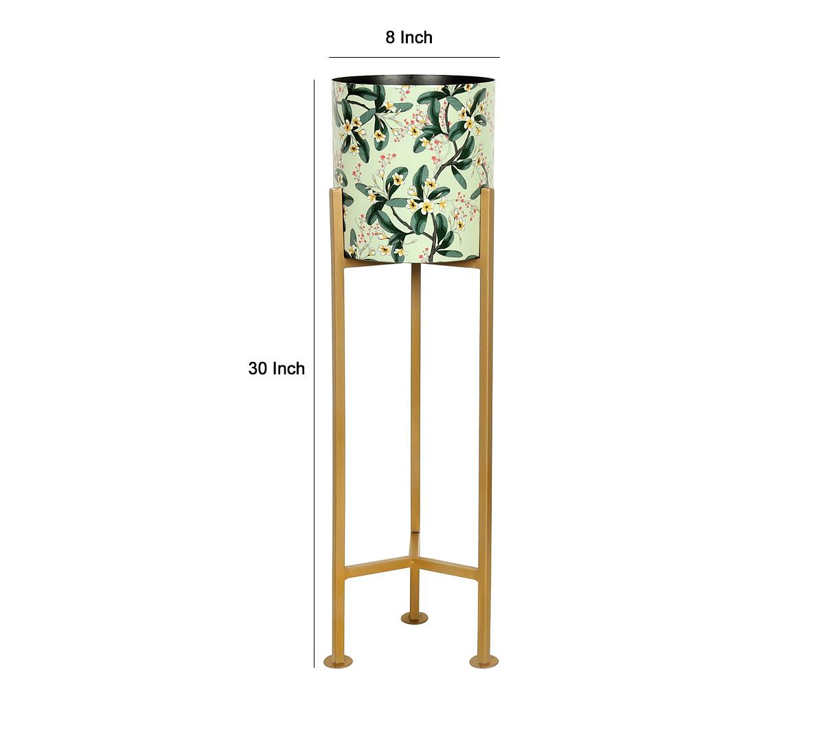 India Circus by Krsnaa Mehta Verdant Might Planter Medium