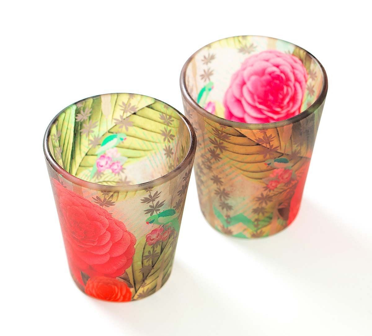 India Circus Herbs of Captivation Shot Glasses Set of 2