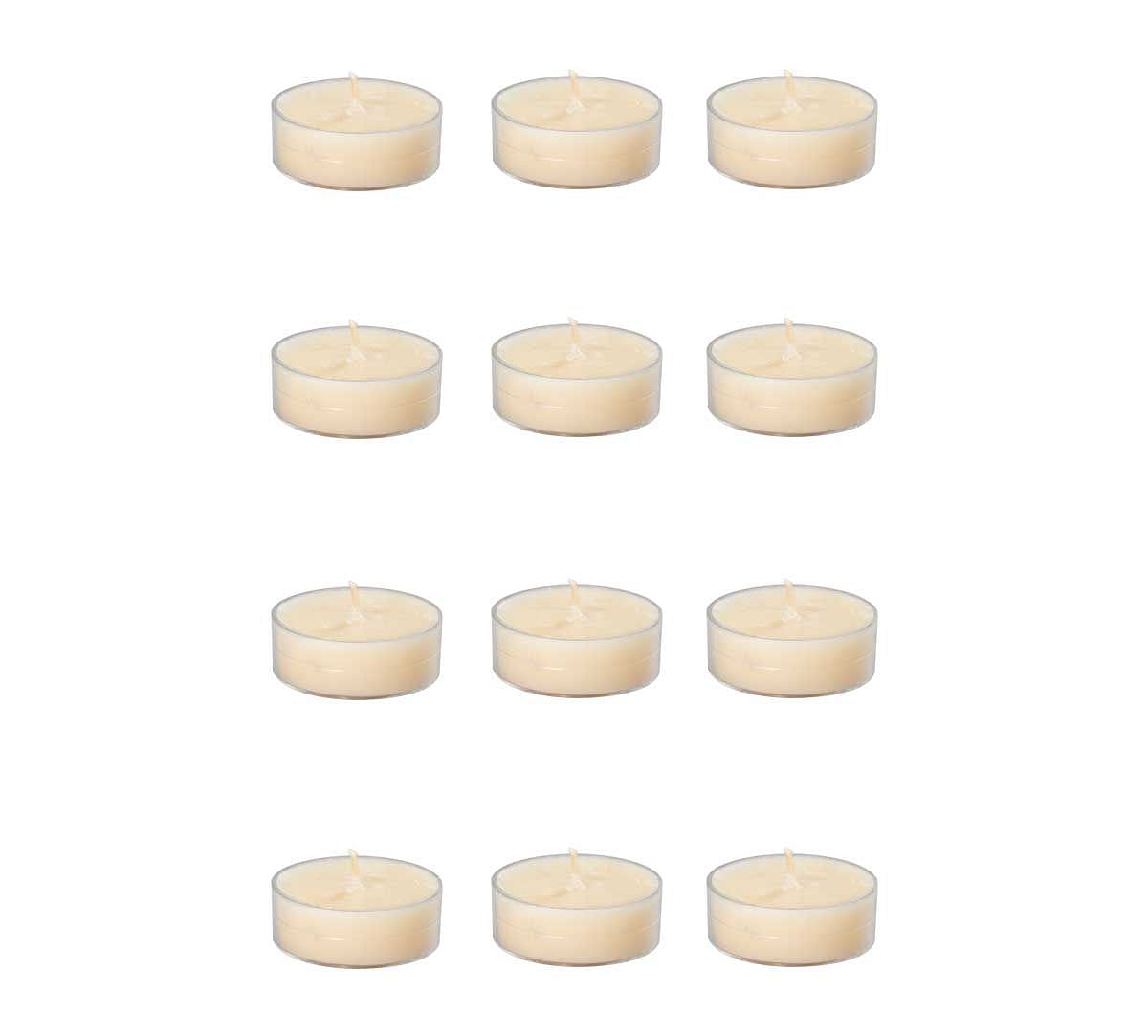 India Circus Vanilla Bean Tea Light candles (Set of 12)