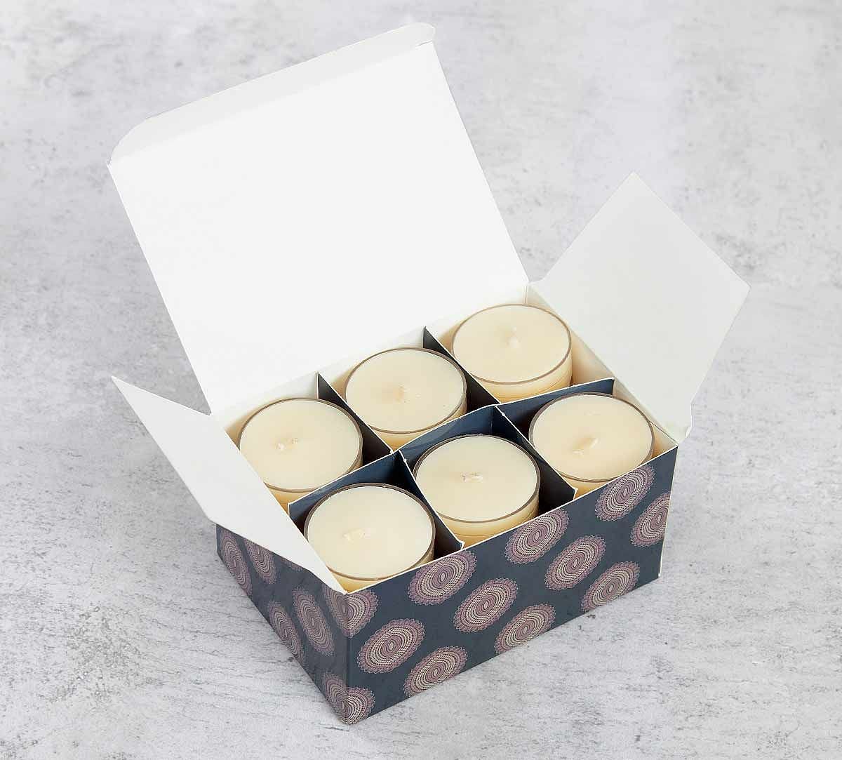 India Circus Vanilla Bean Tea Light candles (Set of 24)