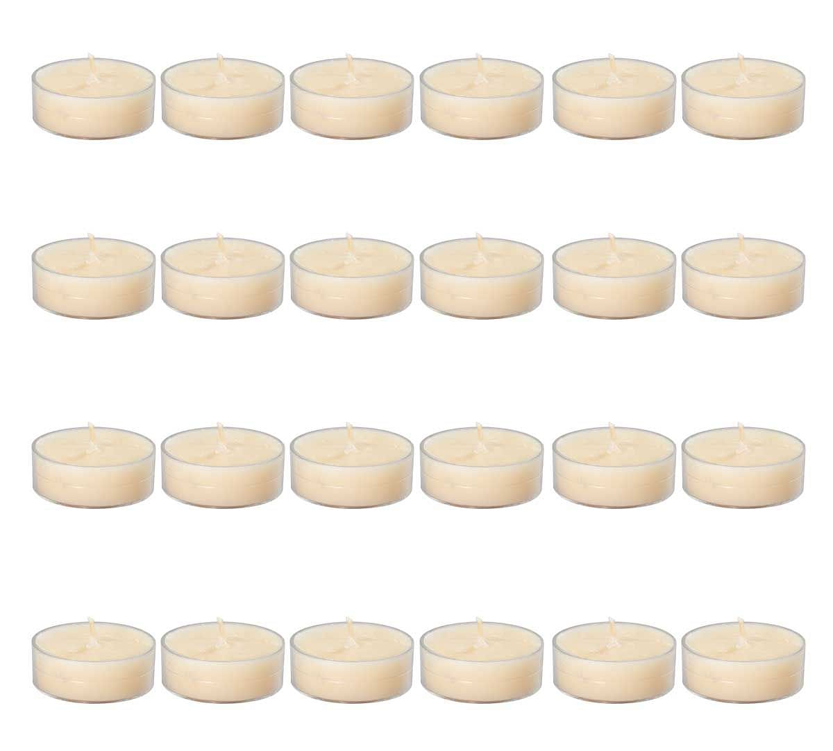 India Circus Vanilla Bean Tea Light candles (Set of 24)