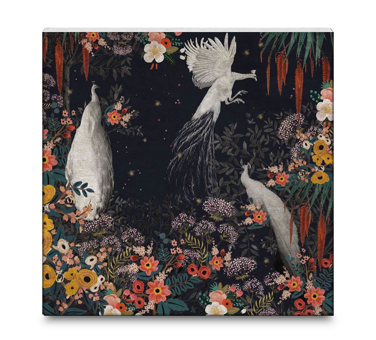 India Circus Vintage Spring 16x16 and 24x24 Canvas Wall Art